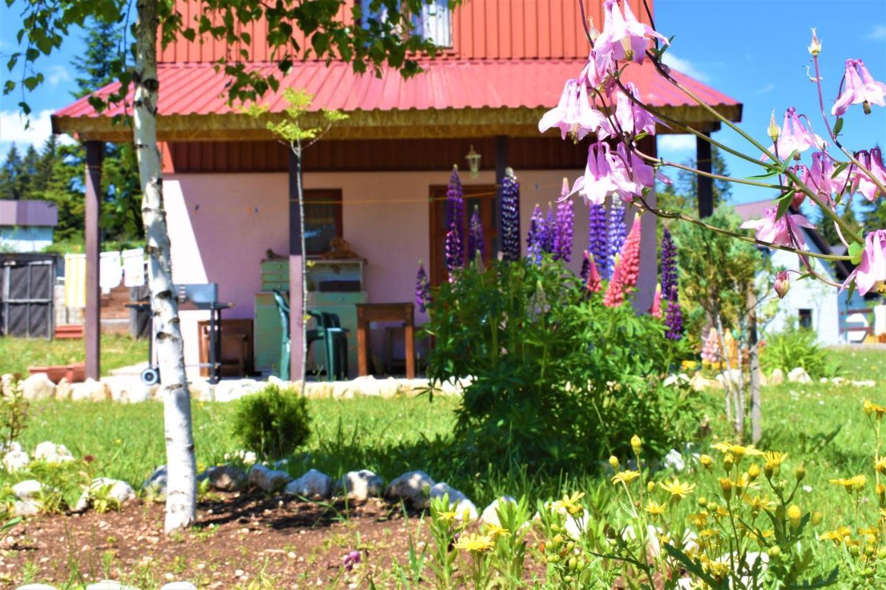 Sepic Accommodation Zabljak  Exterior photo