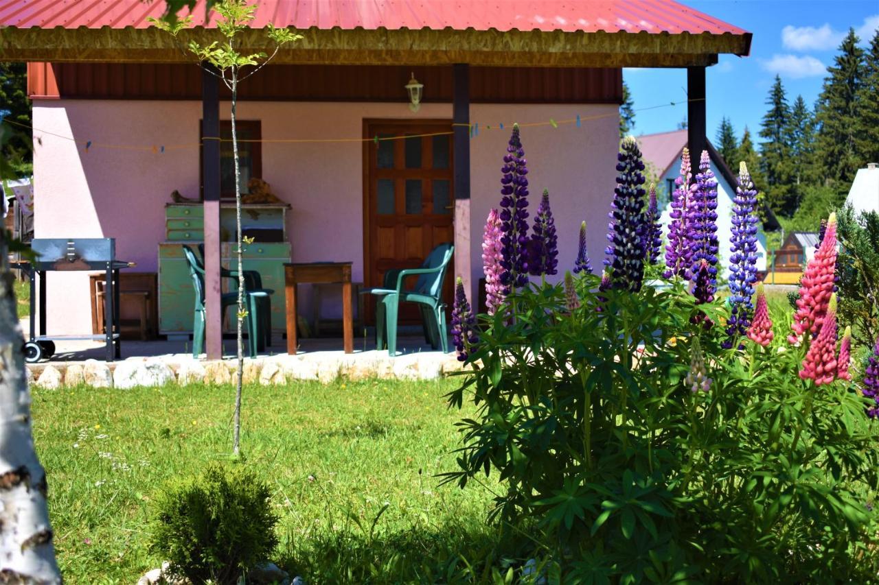 Sepic Accommodation Zabljak  Exterior photo