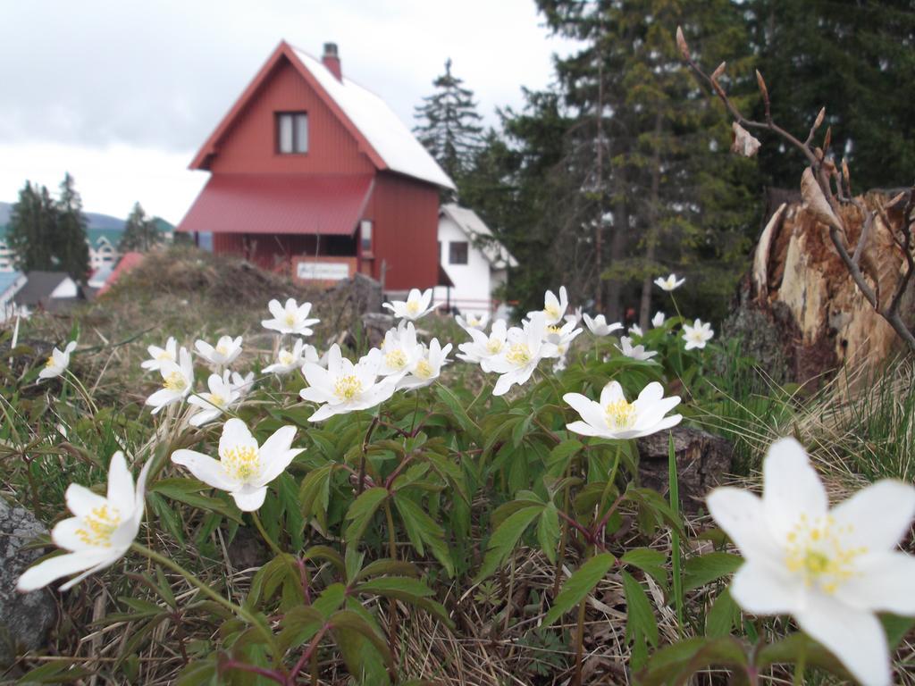 Sepic Accommodation Zabljak  Exterior photo