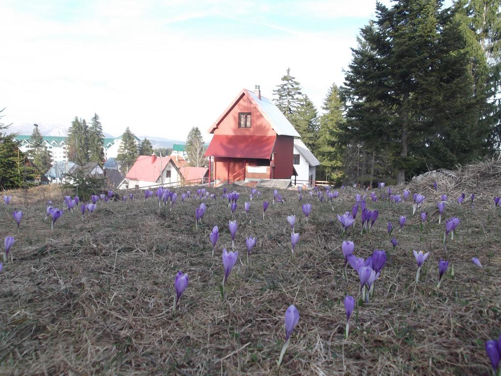 Sepic Accommodation Zabljak  Exterior photo