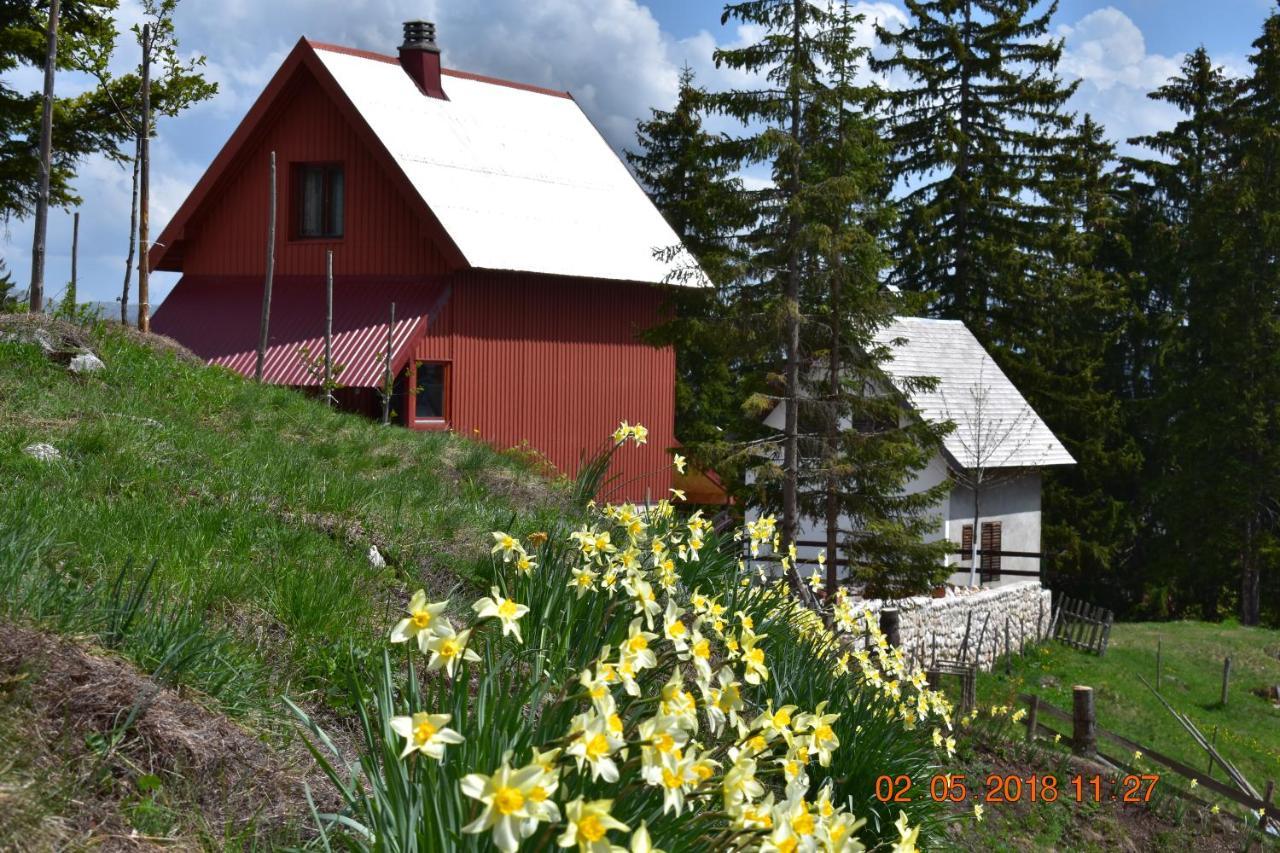 Sepic Accommodation Zabljak  Exterior photo