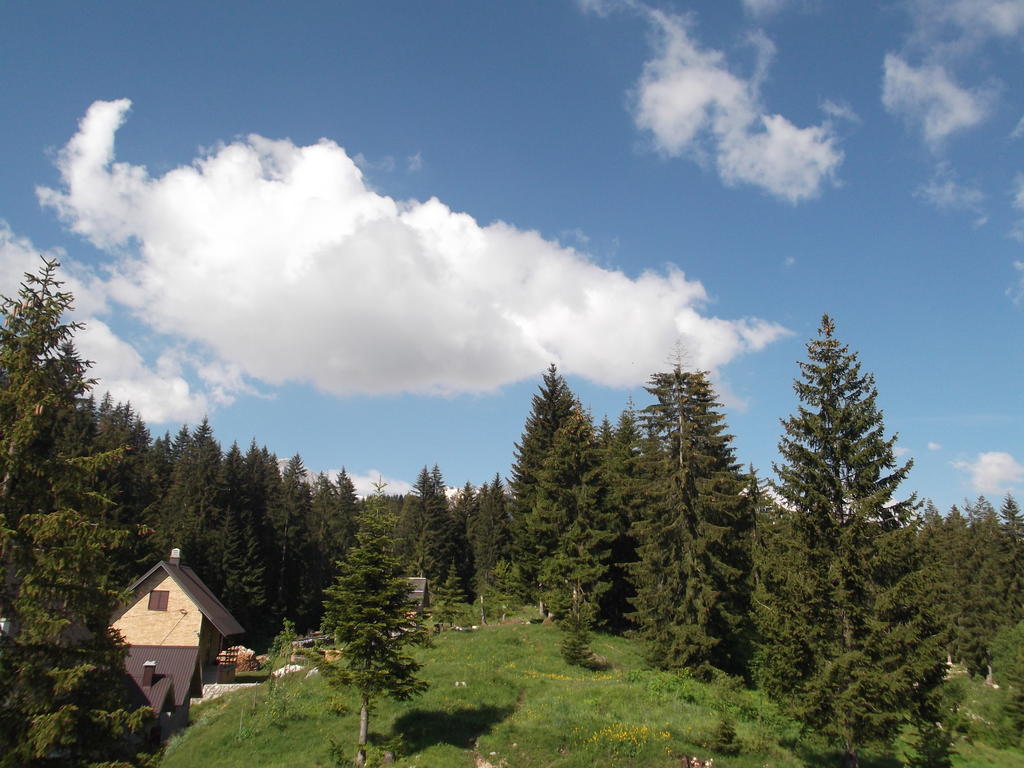 Sepic Accommodation Zabljak  Room photo